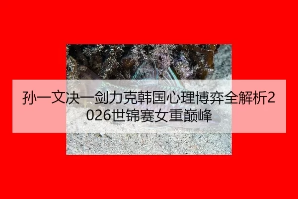 sun-yi-wen-jue-yi-jian-li-ke-han-guo-xin-li-bo-yi-quan-jie-xi-shi-jin-sai-nv-zhong-dian-feng-2-147.jpg